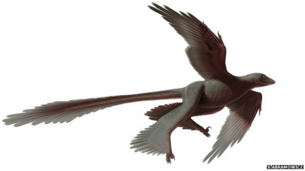 Изображение четырехкрылого динозавра